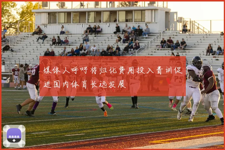 媒体人呼吁将归化费用投入青训促进国内体育长远发展